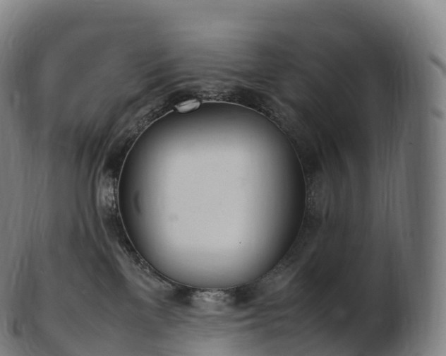 X0000103330137200809121219