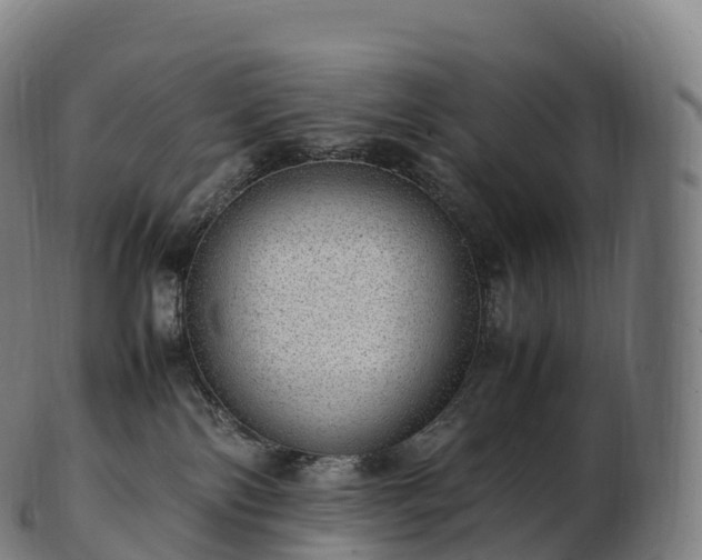 X0000103330138200809121219