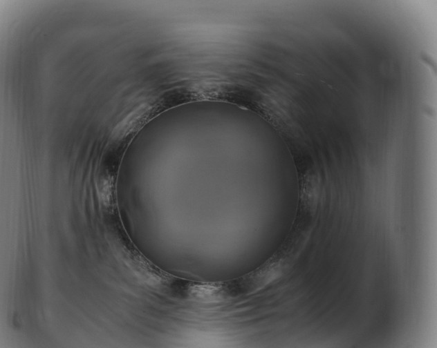 X0000103330139200809121219