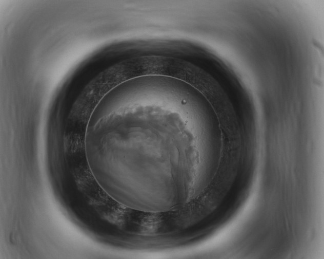 X0000103330143200809121219