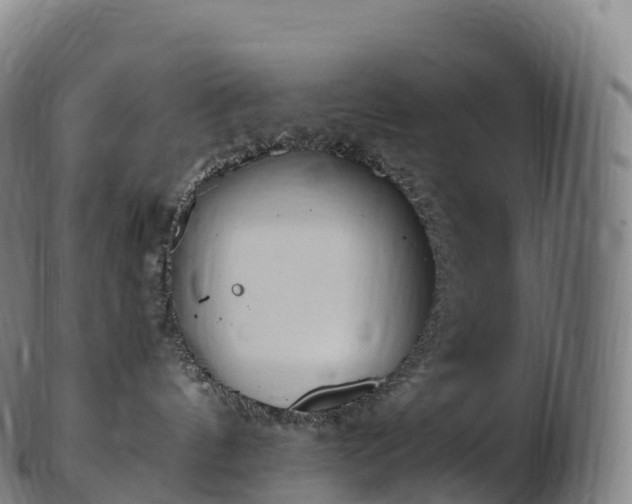 X0000103330144200809121219