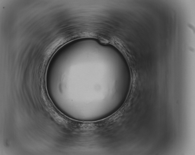 X0000103330145200809121218