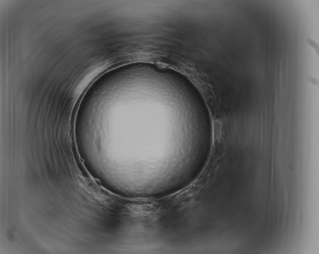 X0000103330147200809121218