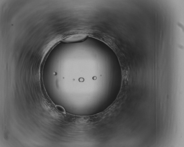 X0000103330148200809121218