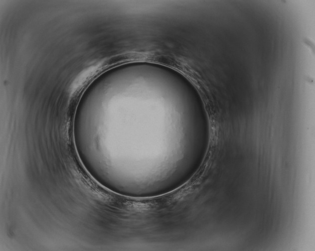 X0000103330149200809121218