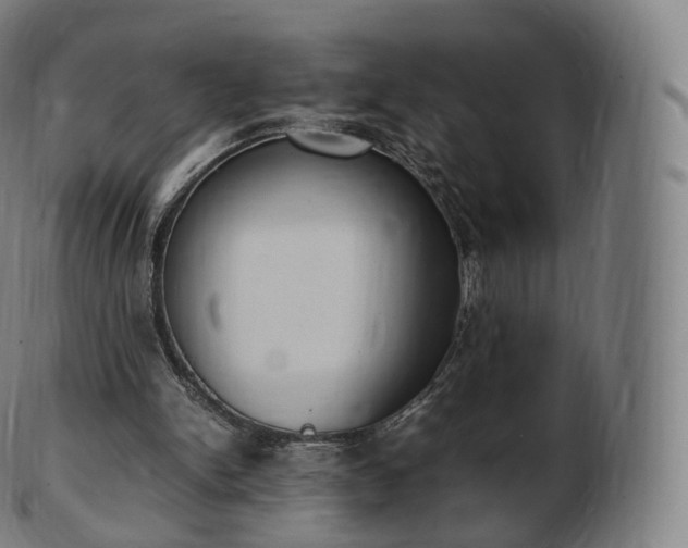 X0000103330150200809121218