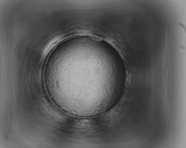 X0000103330151200809121218