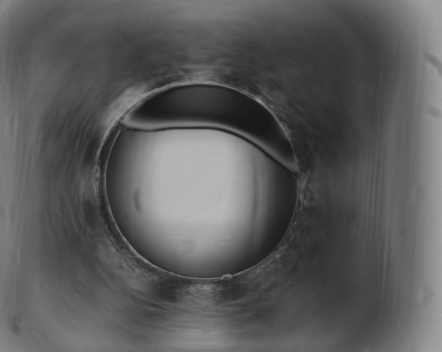 X0000103330152200809121218