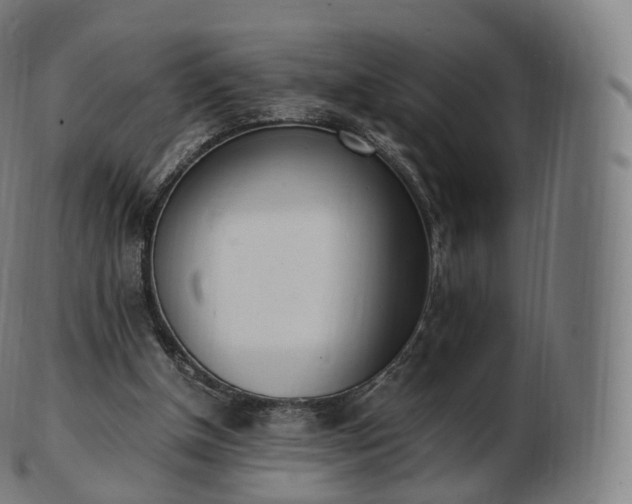 X0000103330154200809121218