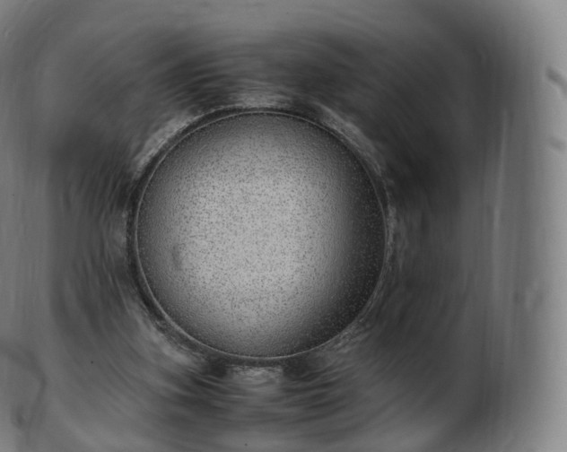 X0000103330155200809121218