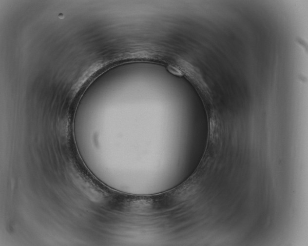 X0000103330156200809121218