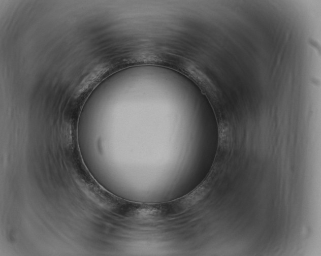 X0000103330158200809121218