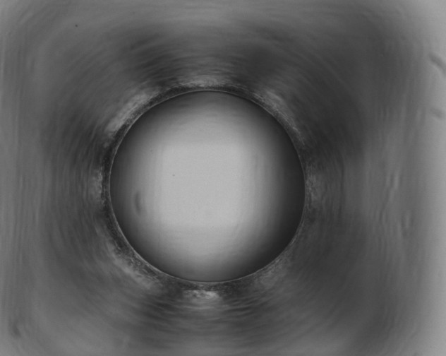 X0000103330159200809121218