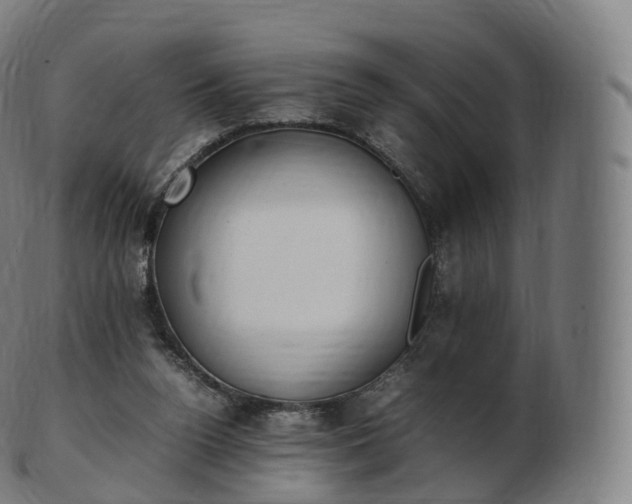 X0000103330160200809121218