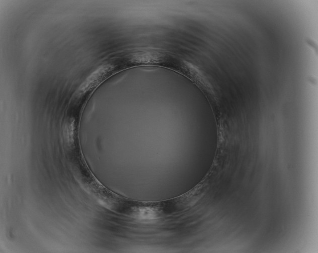 X0000103330163200809121218