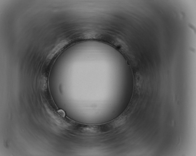 X0000103330164200809121218