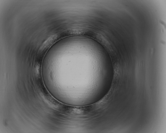 X0000103330166200809121218