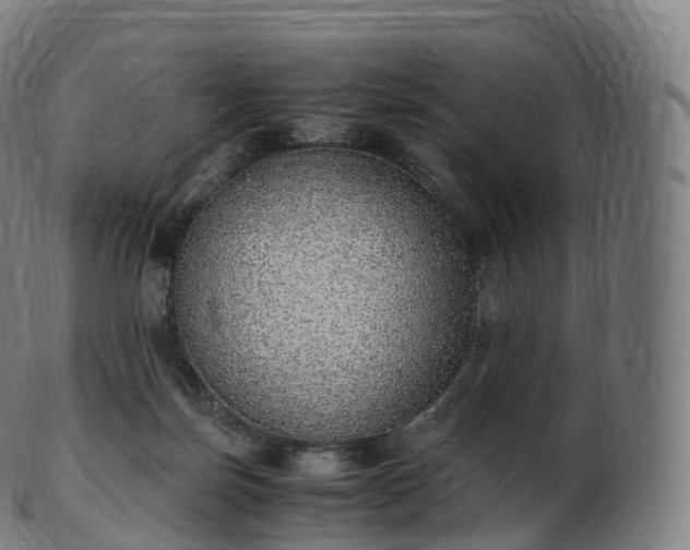 X0000103330171200809121218