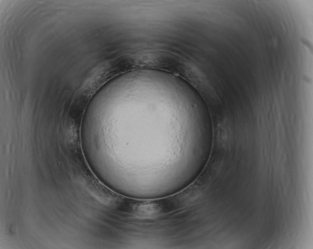 X0000103330173200809121218