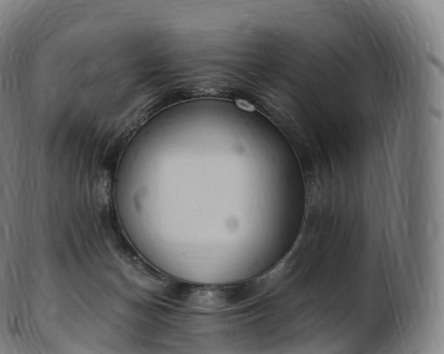 X0000103330174200809121218