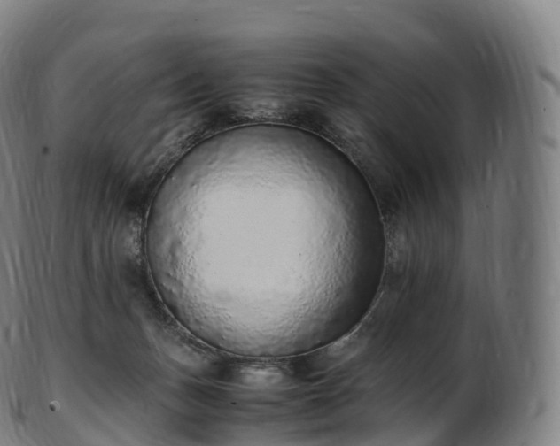 X0000103330175200809121218