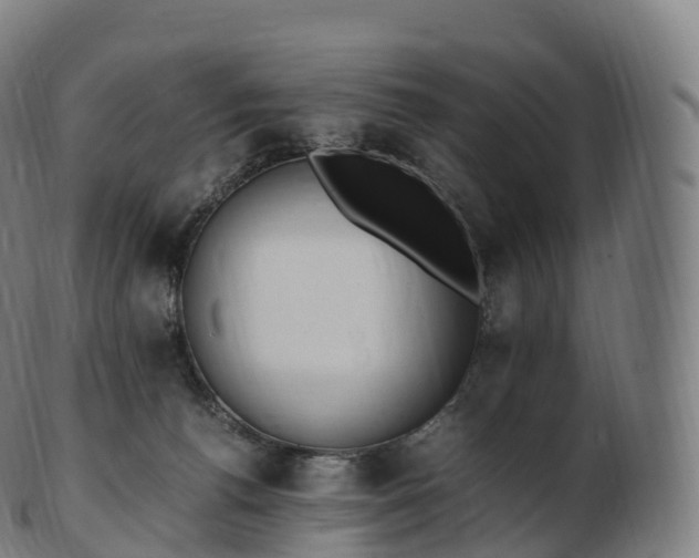 X0000103330176200809121218