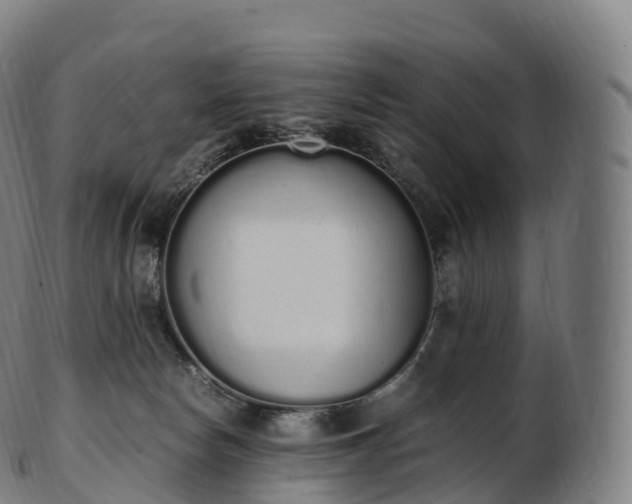 X0000103330178200809121219