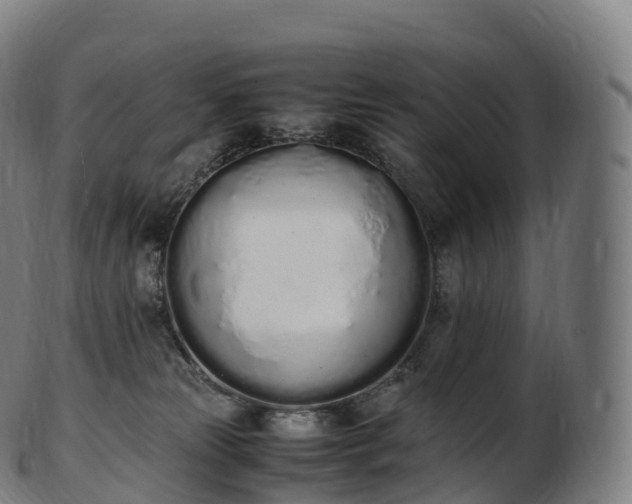 X0000103330181200809121219