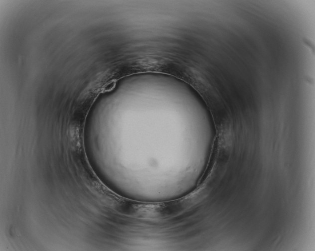 X0000103330182200809121219