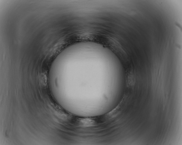 X0000103330183200809121219