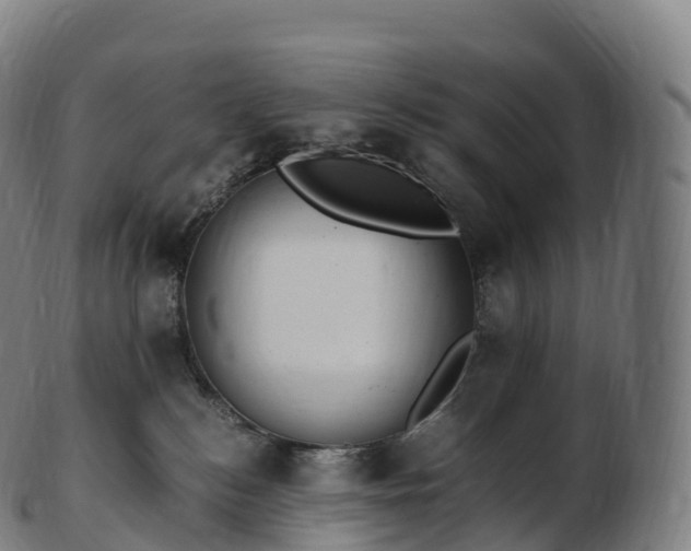 X0000103330184200809121219