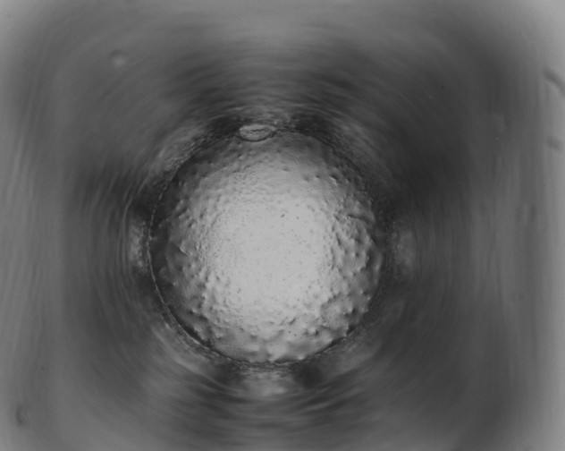 X0000103330185200809121219