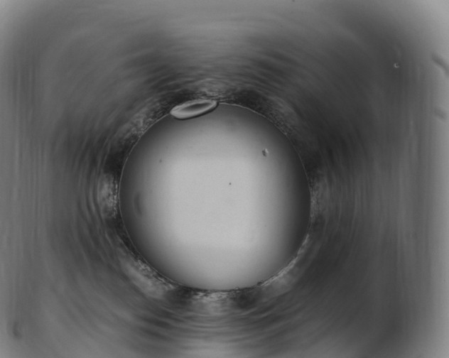 X0000103330186200809121219