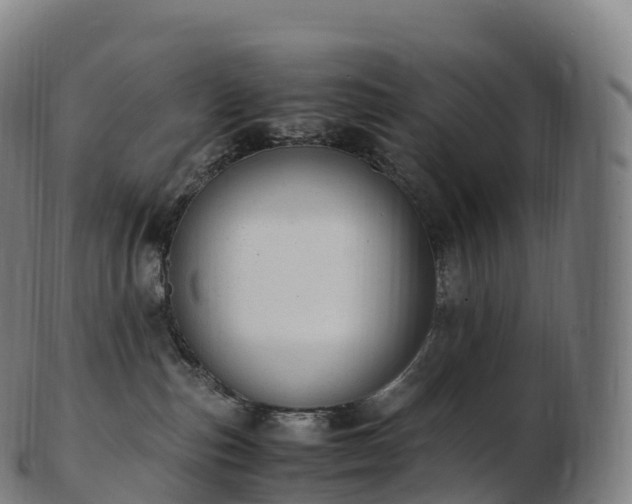 X0000103330187200809121219