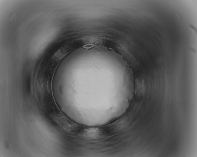 X0000103330189200809121219