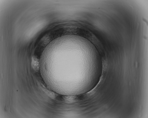 X0000103330191200809121219