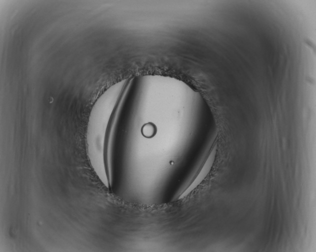 X0000103330192200809121219