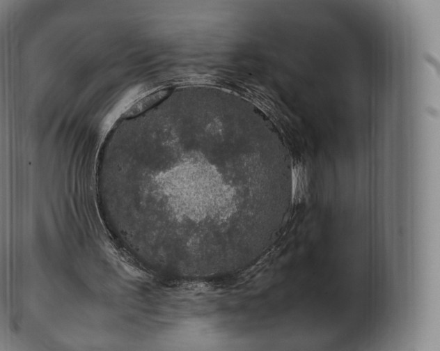 X0000103330195200809121218