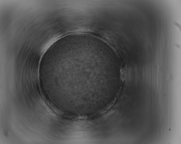 X0000103330196200809121218