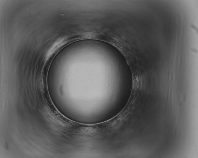 X0000103330198200809121218