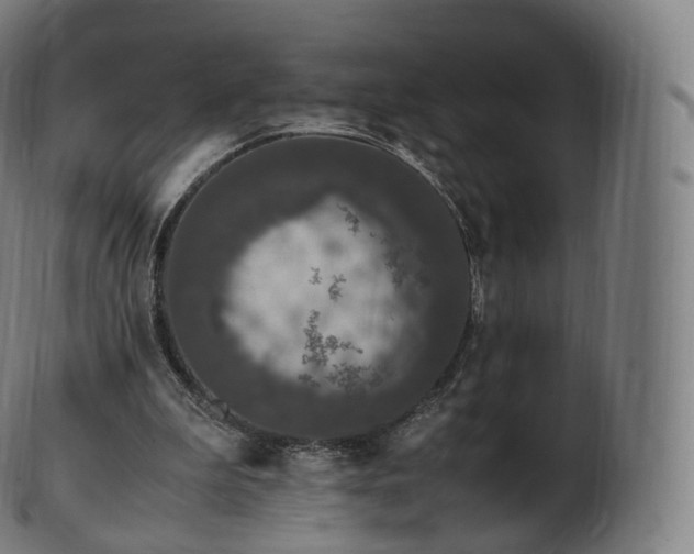 X0000103330199200809121218