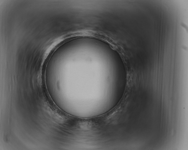 X0000103330200200809121218