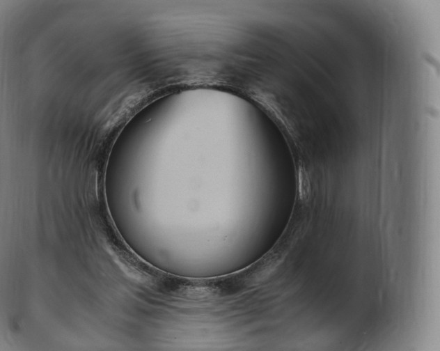 X0000103330205200809121218