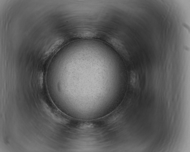 X0000103330206200809121218