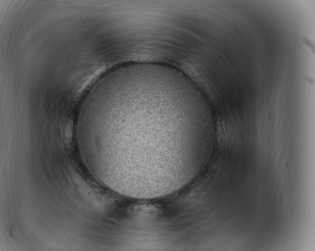 X0000103330208200809121218