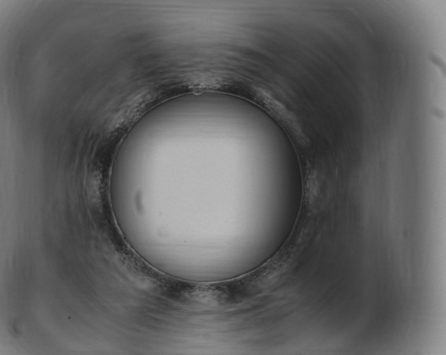 X0000103330209200809121218