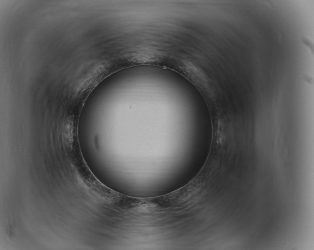 X0000103330210200809121218