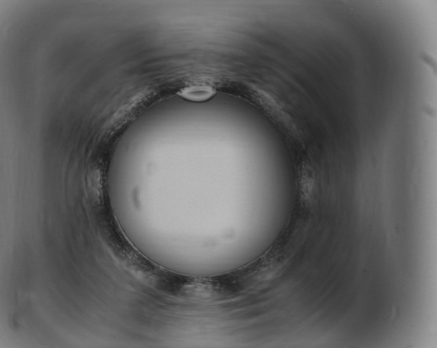 X0000103330211200809121218