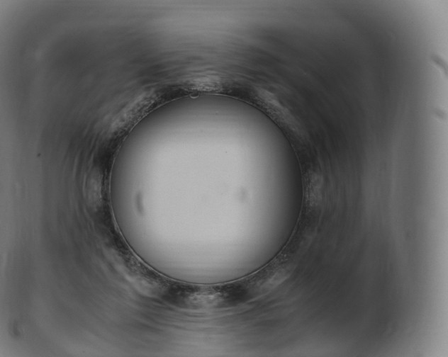 X0000103330213200809121218