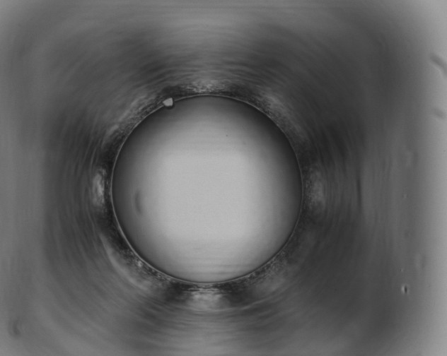 X0000103330214200809121218